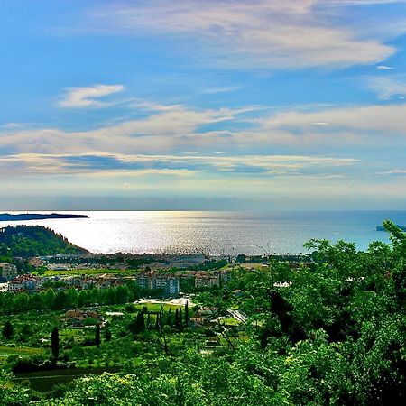 Sea View Olive Retreat Apartment Portoroz Luaran gambar