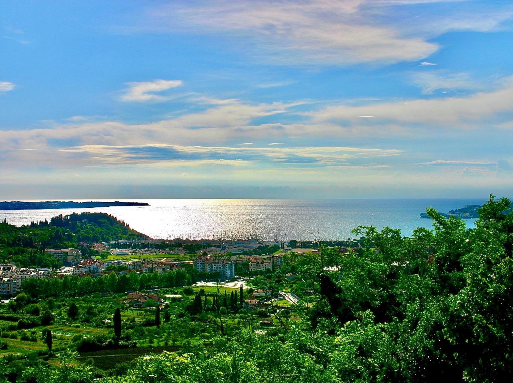 Sea View Olive Retreat Apartment Portoroz Luaran gambar