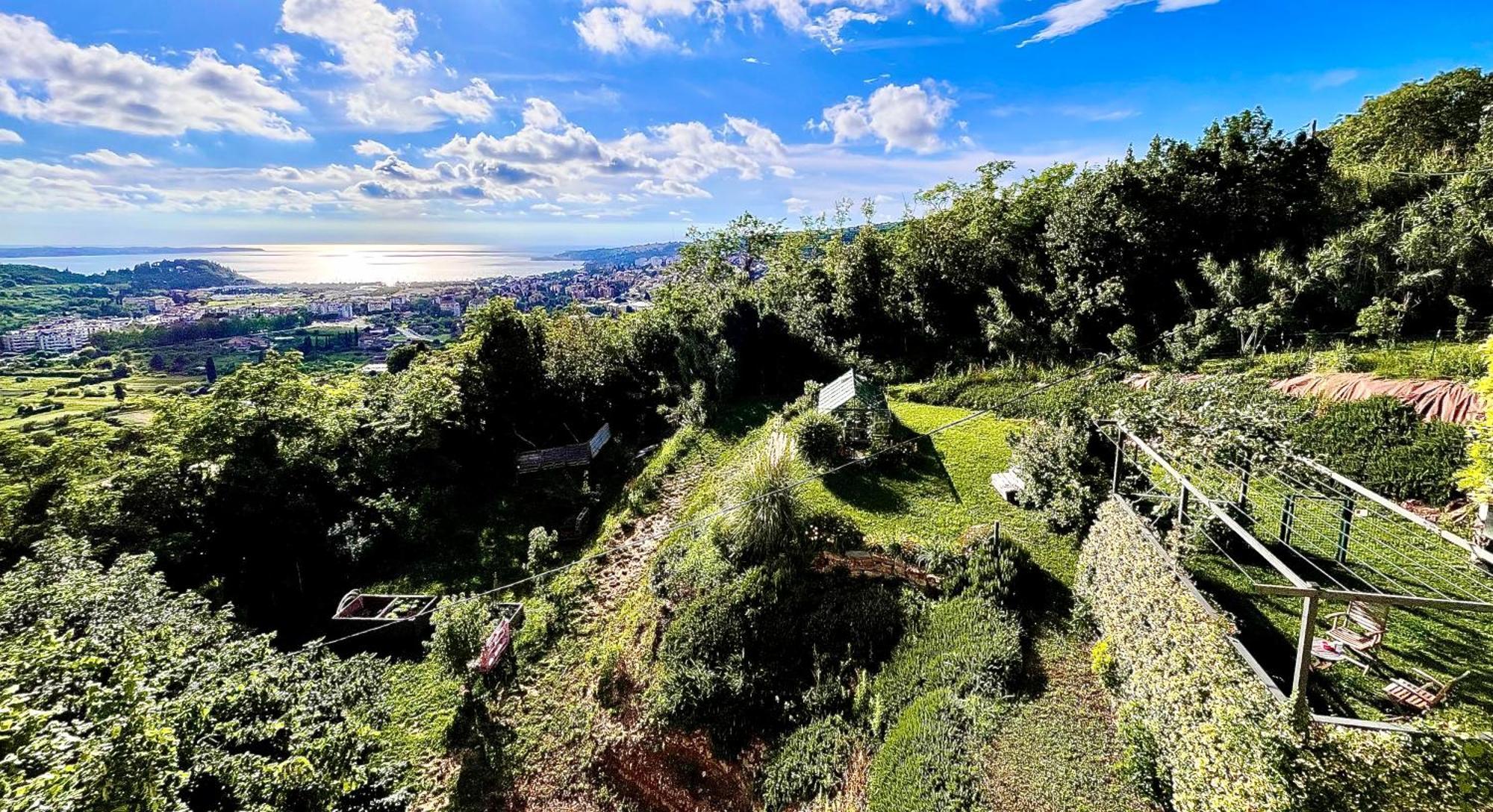 Sea View Olive Retreat Apartment Portoroz Luaran gambar